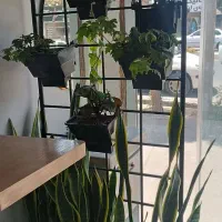 نیازمند همکار خانم جهت کار در ساندویچ سرد