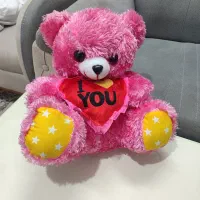 عروسک طرح خرس نو