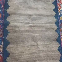 گلیم پشم شتر|گلیم، جاجیم، گبه|شیراز, احمدی جنوبی|دیوار