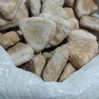 لوبیا چیتی برداشت امسال|خوردنی و آشامیدنی|زرندیه, |دیوار