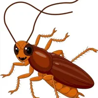 سم پاشی منازل و ساختمانات اداری سوله ها و....