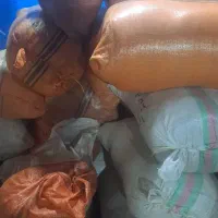 خاک اره نرادوصنوبر تکی وعمده|عمده‌فروشی|آستانه اشرفیه, |دیوار