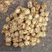 گردو با کیفیت تویسرکان گردو مال باغ خودمون هست|خوردنی و آشامیدنی|محمدشهر, کوی بهار|دیوار