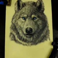 تولید محتوا