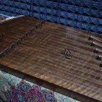 سنتور حرفه ای