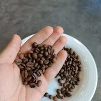فروش دان قهوه