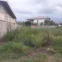مسکونی.صدا سیمای زیبا کنار.سند.شکاری.ساحلی|فروش زمین و ملک کلنگی|رشت, کاکتوس|دیوار