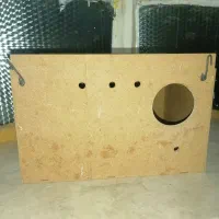 لانه پرنده عروس هلندی