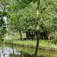 فروش کلبه چوبی طبیعتنشین