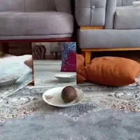 سنگی که در آینه دیده نمیشه/ محو