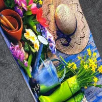 نمگیر|سفره، حوله، دستمال آشپزخانه|قم, قلعه کامکار|دیوار