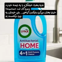 لینکس گیاهی|مواد شوینده و دستمال کاغذی|گنبد کاووس, |دیوار
