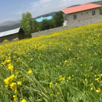 ۵۰۰ متر زمین شمال گیلان