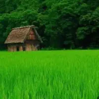 تور تفریحی سرعین اردبیل و گیلان