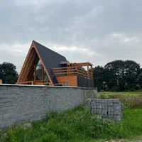 فروش زمین  جنگلی اقساطی  سر آسفالت