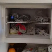 فروش یخچال وفریزر|یخچال و فریزر|الیگودرز, |دیوار