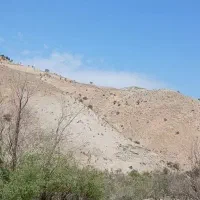 زمین-کشاورزی-7-000-متر