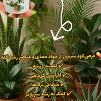 قرص کود|گل و گیاه طبیعی|تهران, افسریه جنوبی|دیوار