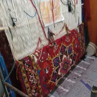 یک جفت قالیچه نقشه هریس|فرش|اهر, |دیوار