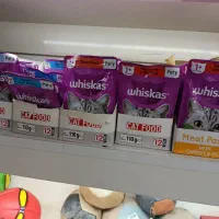 غذای حیوانات