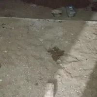 زمین مغازه|فروش زمین و ملک کلنگی|سربیشه, |دیوار