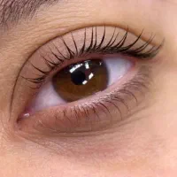 لیفت و لمینت مژه و ابرو با بهترین مواد لیمینیشن|خدمات آرایشگری و زیبایی|ری, دیلمان|دیوار