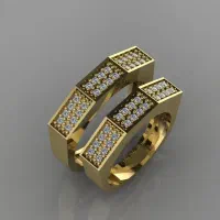 حلقه ست طلا روس نگین دار|بدلیجات|شیراز, شاهچراغ|دیوار