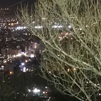 اجاره و مشارکت فضا جهت سفره خانه سنتی