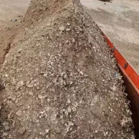 زرین کودمرغی|خدمات باغبانی و درختکاری|پشتکوه (سیستان و بلوچستان), |دیوار