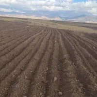 اجاره زمین  کشاورزی