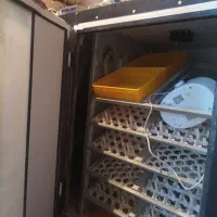 دستگاه جوجه کشی فول|ماشین‌آلات صنعتی|اردبیل, |دیوار