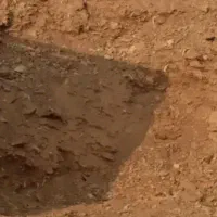 کود گاوی و گوسفندی خاوری