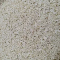 برنج علی کاظمی|خوردنی و آشامیدنی|گیلوان, |دیوار