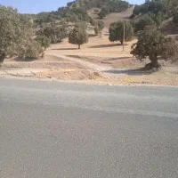 زمین برای خانه باغ
