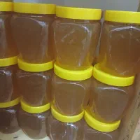 عسل طبیعی کوهستان رس بسته و بدونه رس|خوردنی و آشامیدنی|صالح آباد, |دیوار