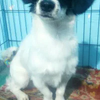 گمشده لطفا اطلاع بدین