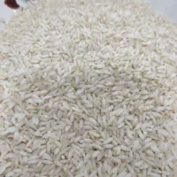 برنج عنبربو عمده