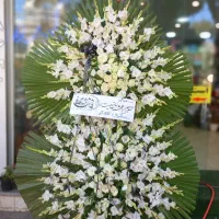 گل گلاله، انواع تاج گل