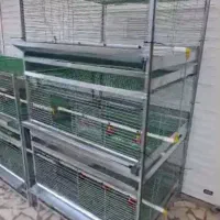 قفس بلدرچین ،قفس جوجه،ابخوری ،دانخوری|لوازم جانبی حیوانات|تنکابن, |دیوار