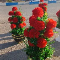 فروش انواع گل های مصنوعی|گل مصنوعی|لردگان, |دیوار