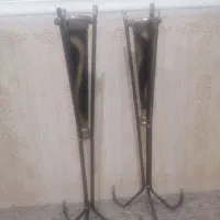 گلدان|گل و گیاه طبیعی|اهواز, پادادشهر|دیوار