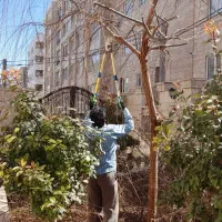 سمپاشی باغبانی تیلر زنی تعویض خاک باغچه|خدمات باغبانی و درختکاری|مشهد, رضاشهر|دیوار