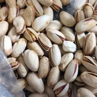 پسته  طلای سبز دامغان|خوردنی و آشامیدنی|ری, جوانمرد قصاب|دیوار