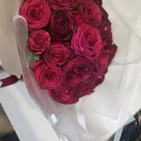 40 شاخه گل رز