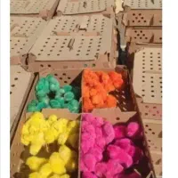 فروشی جوجه رنگی