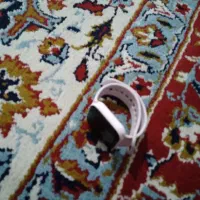 ساعت