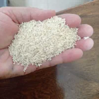 هاشمی کم دود ۱۶۰تومن