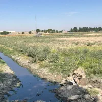 انجام انتقال سند اراضی جهادکشاورزی،باغی،ویلا..