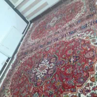 فرش دستباف در حد نو|فرش|ارومیه, |دیوار