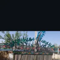 علامت ۱۳ تیغه